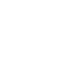 Operational Excellence (Icon)