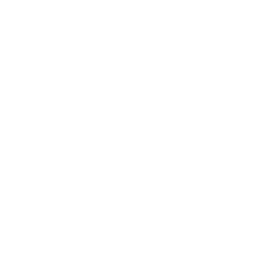 Team of experts (Icon)